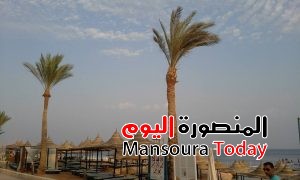 13920774_944474775675491_5470834219873847926_n