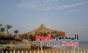 13924966_944474819008820_3948388965114857020_n