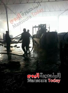 PicsArt_٠٨-٢١-٠٩.٣٢.٠٩